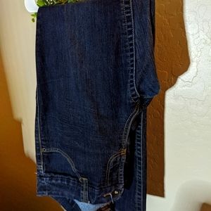 Torrid Jeans